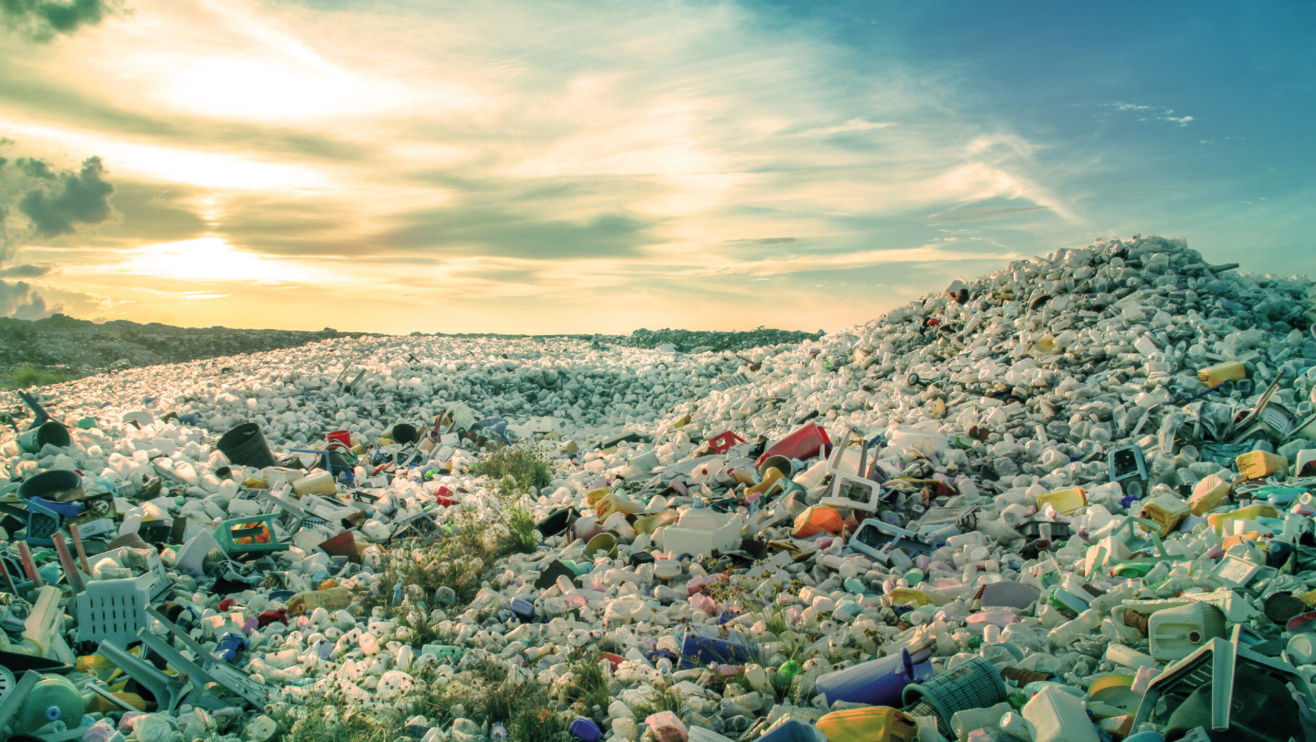 Un mundo de posibilidades eco-amigables.